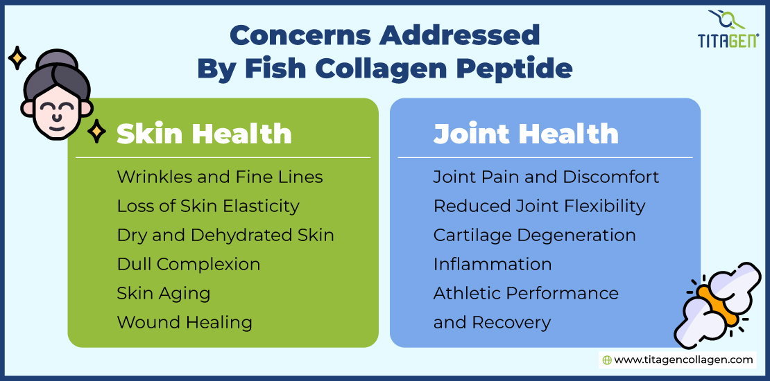 Concerns-Addressed-by-Fish-Collagen-Peptide