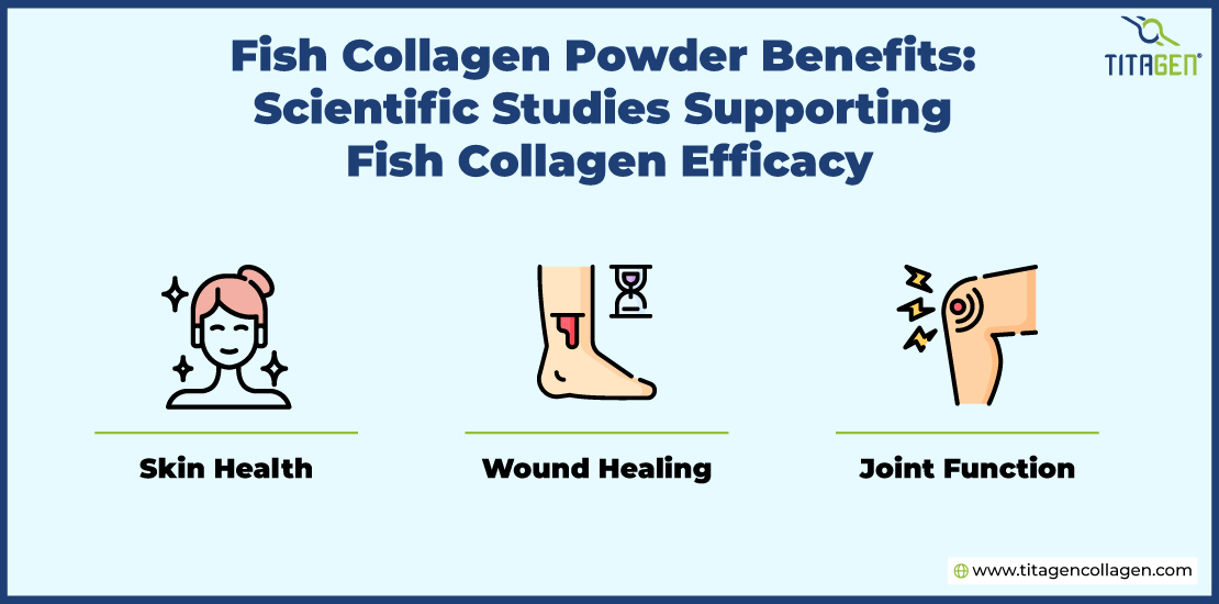 Fish-Collagen-Powder-Benefits