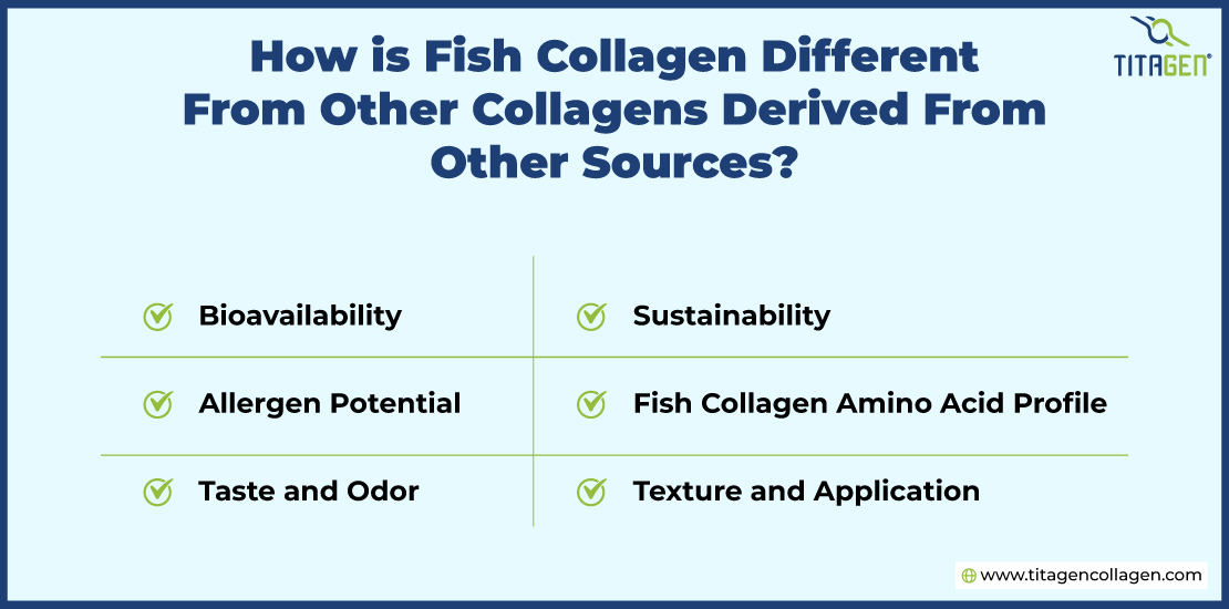 How-is-Fish-Collagen-Different-From-Other-Collagens-Derived-From-Other-Sources