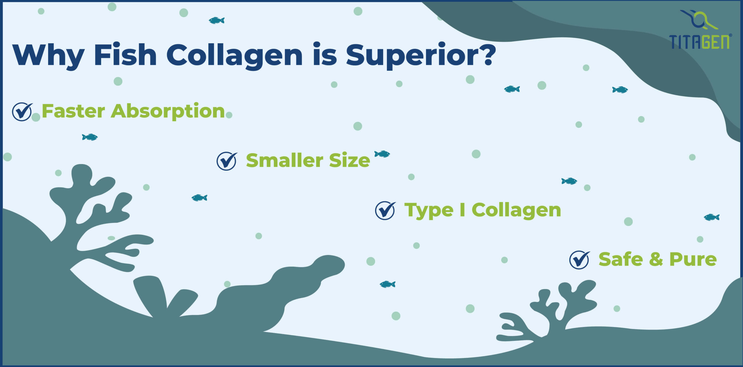 Why Fish Collagen is Superior?