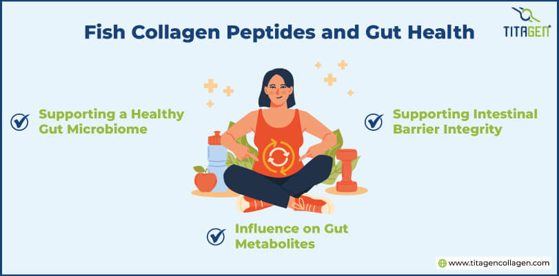 Fish Collagen Peptides and Gut Health