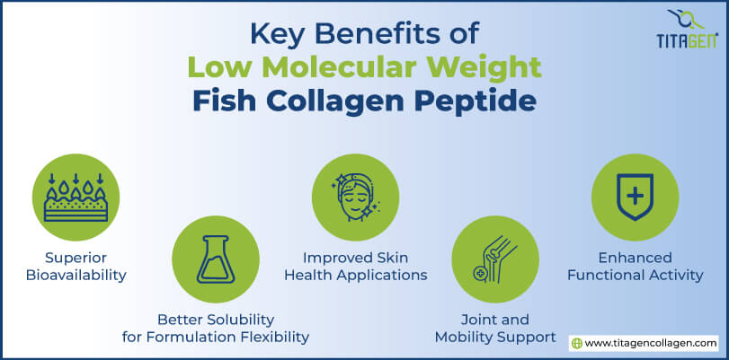 Key Benefits of Low Molecular Weight Fish Collagen Peptides