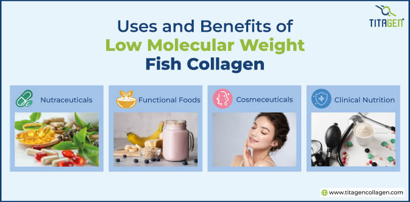 Uses and Benefits of Low Molecular Weight Fish Collagen