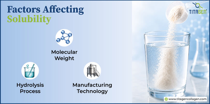 Factors Affecting Solubility