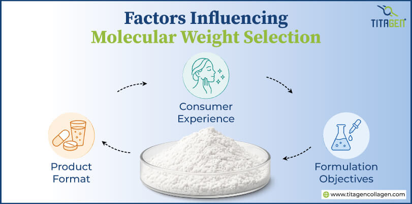 Factors Influencing Molecular Weight Selection
