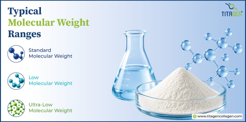 Typical Molecular Weight Ranges