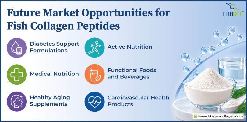 Future Market Opportunities for Fish Collagen Peptides